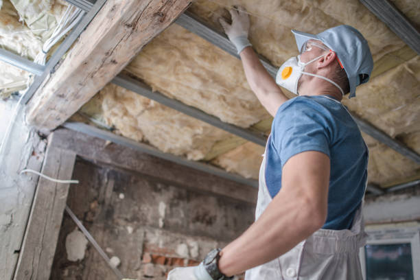 Types of Insulation We Offer in Mountain View, AR