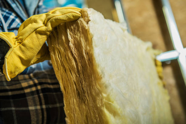 Best Cellulose Insulation in Mountain View, AR